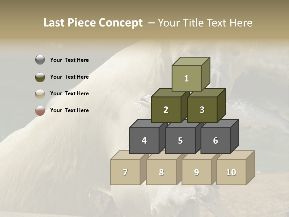 An Adult Female Polar Bear Emerging From The Water With A Fish PowerPoint Template