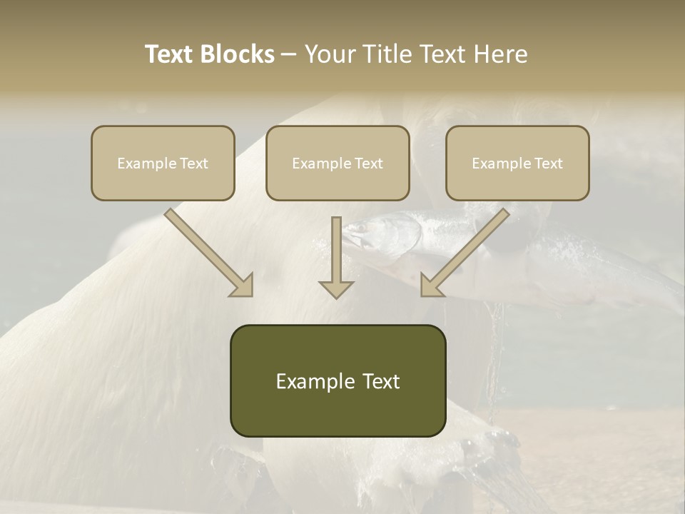 An Adult Female Polar Bear Emerging From The Water With A Fish PowerPoint Template