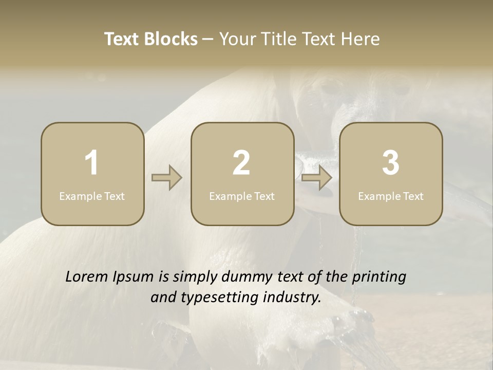 An Adult Female Polar Bear Emerging From The Water With A Fish PowerPoint Template