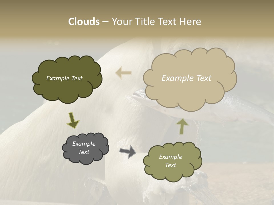 An Adult Female Polar Bear Emerging From The Water With A Fish PowerPoint Template