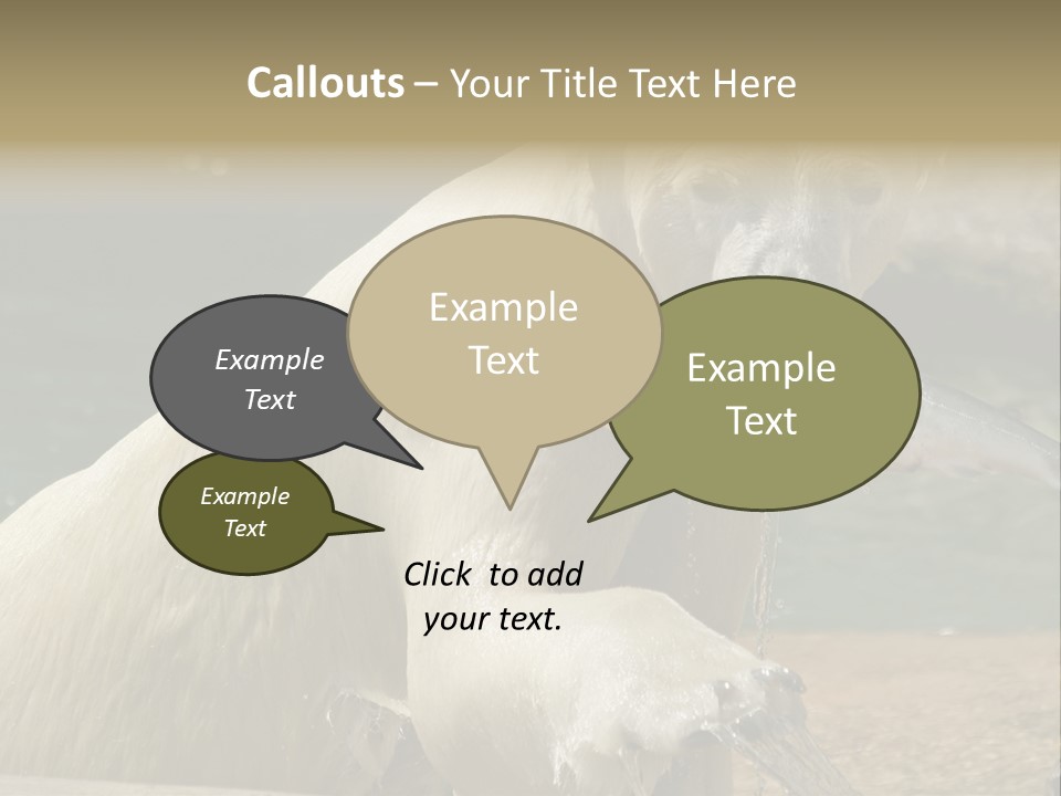 An Adult Female Polar Bear Emerging From The Water With A Fish PowerPoint Template