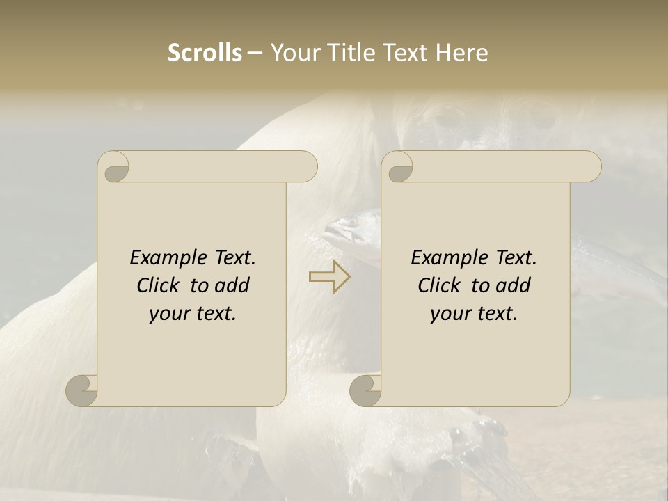 An Adult Female Polar Bear Emerging From The Water With A Fish PowerPoint Template