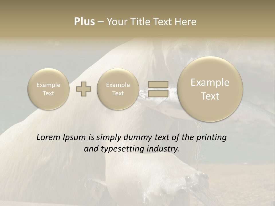 An Adult Female Polar Bear Emerging From The Water With A Fish PowerPoint Template