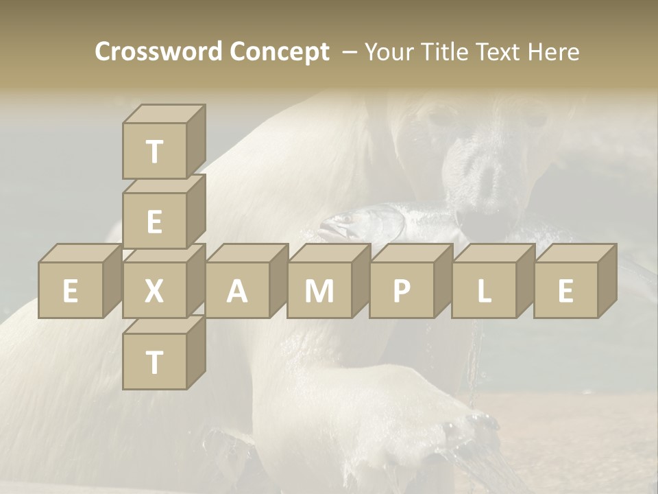 An Adult Female Polar Bear Emerging From The Water With A Fish PowerPoint Template