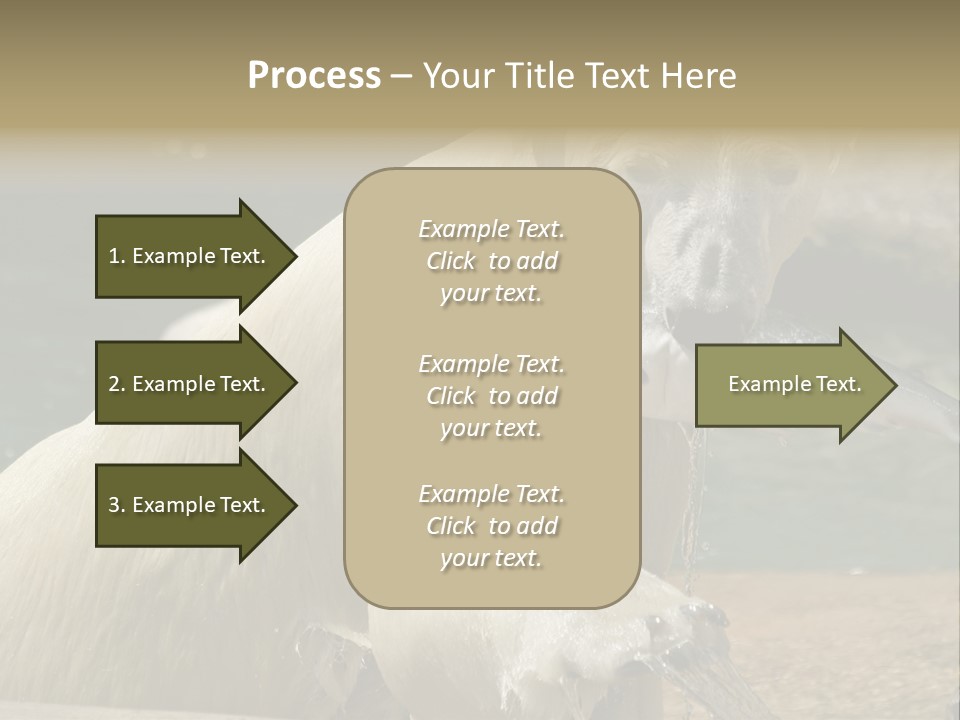 An Adult Female Polar Bear Emerging From The Water With A Fish PowerPoint Template