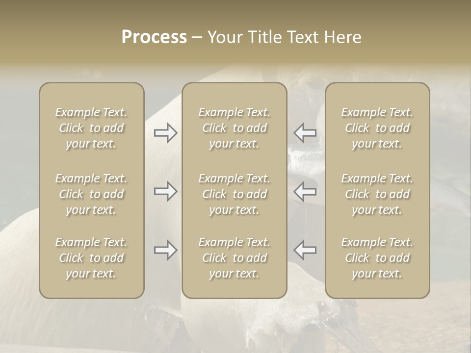 An Adult Female Polar Bear Emerging From The Water With A Fish PowerPoint Template