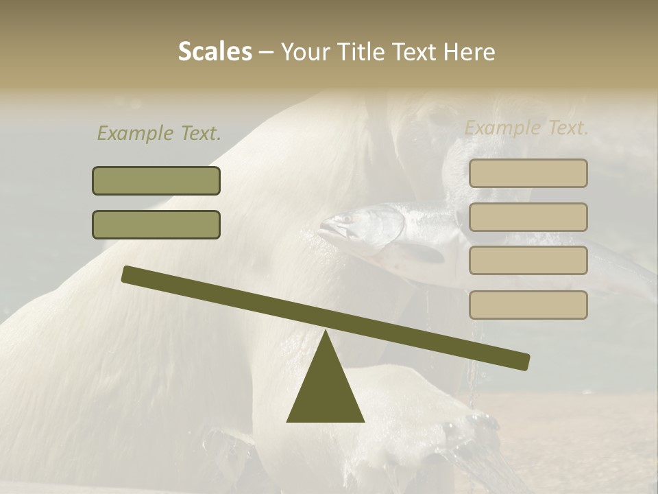 An Adult Female Polar Bear Emerging From The Water With A Fish PowerPoint Template