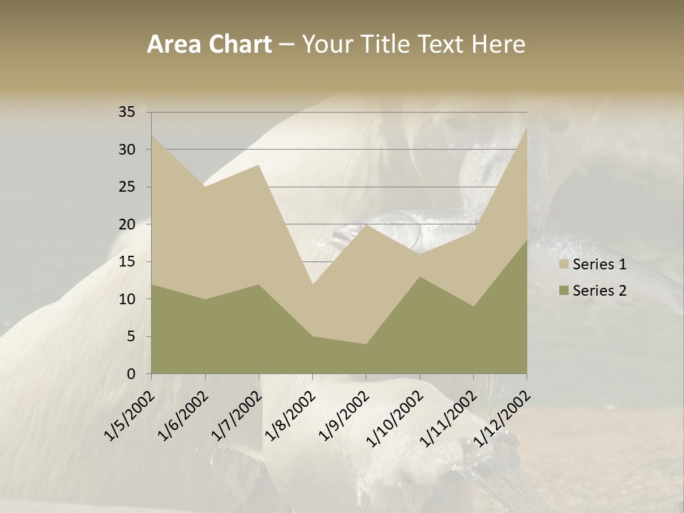 An Adult Female Polar Bear Emerging From The Water With A Fish PowerPoint Template