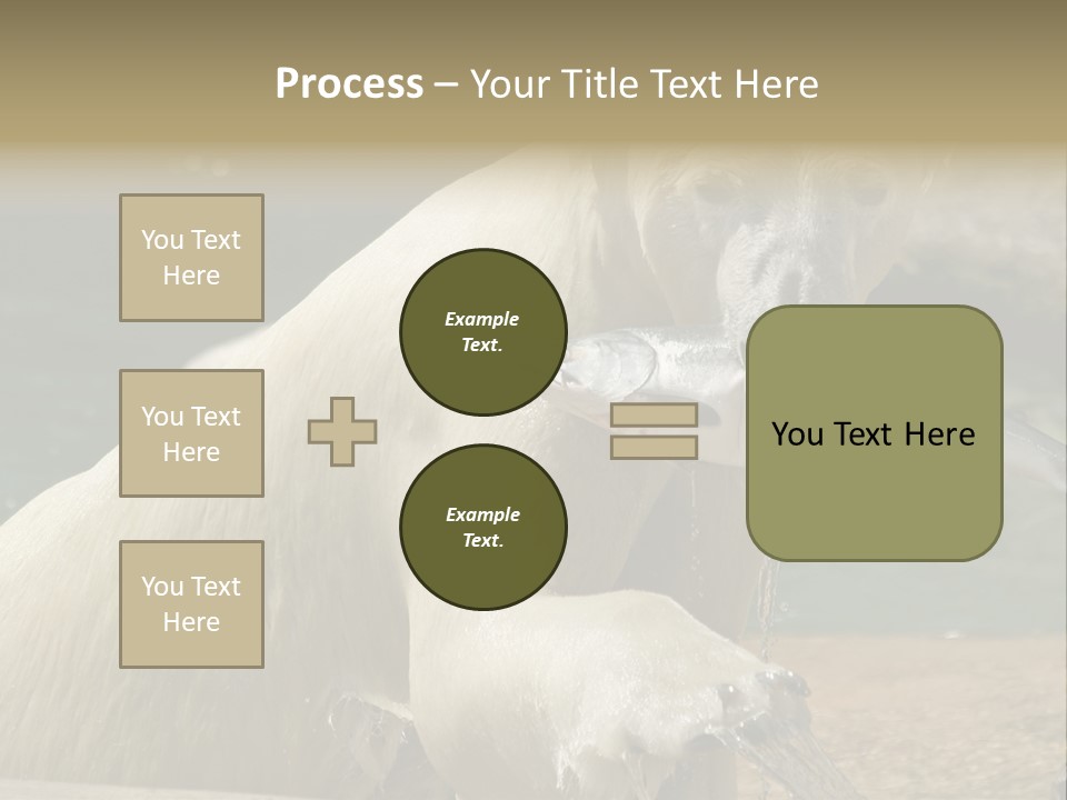 An Adult Female Polar Bear Emerging From The Water With A Fish PowerPoint Template