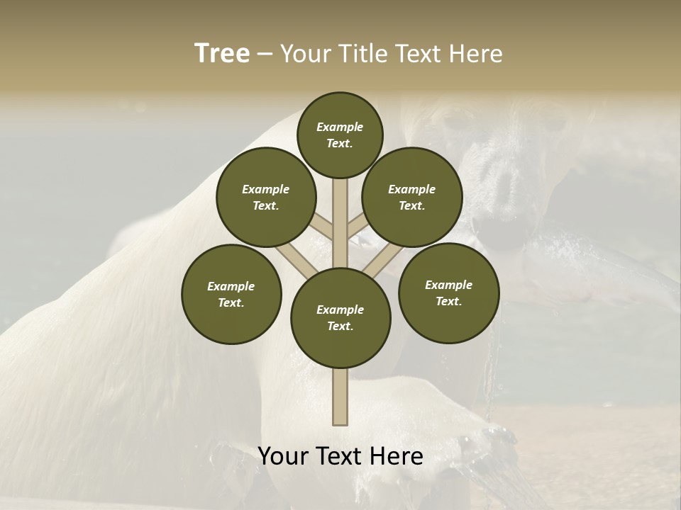 An Adult Female Polar Bear Emerging From The Water With A Fish PowerPoint Template