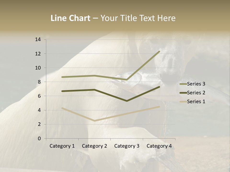 An Adult Female Polar Bear Emerging From The Water With A Fish PowerPoint Template