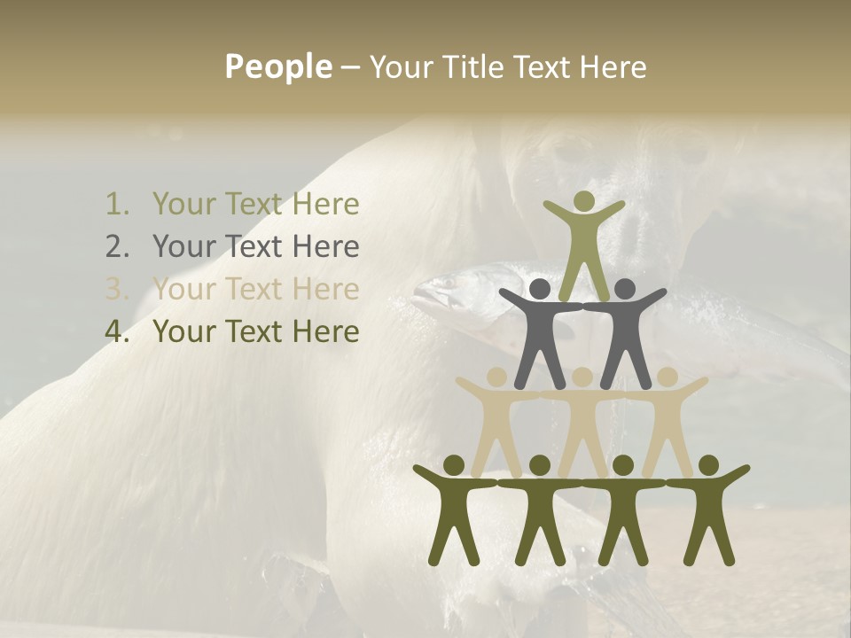 An Adult Female Polar Bear Emerging From The Water With A Fish PowerPoint Template