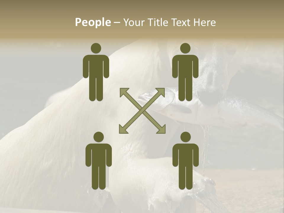 An Adult Female Polar Bear Emerging From The Water With A Fish PowerPoint Template