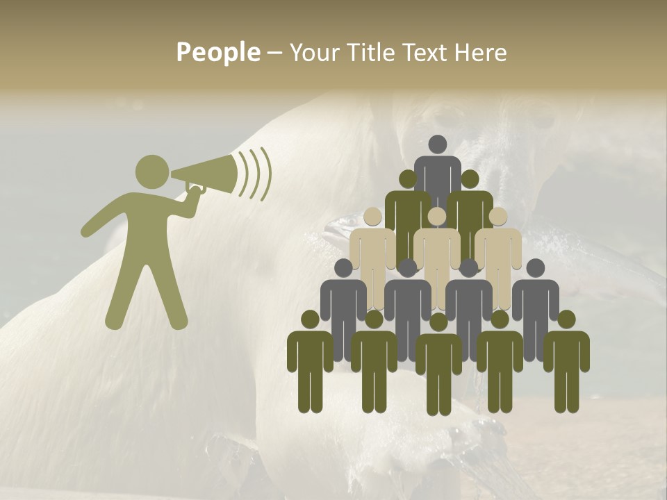 An Adult Female Polar Bear Emerging From The Water With A Fish PowerPoint Template