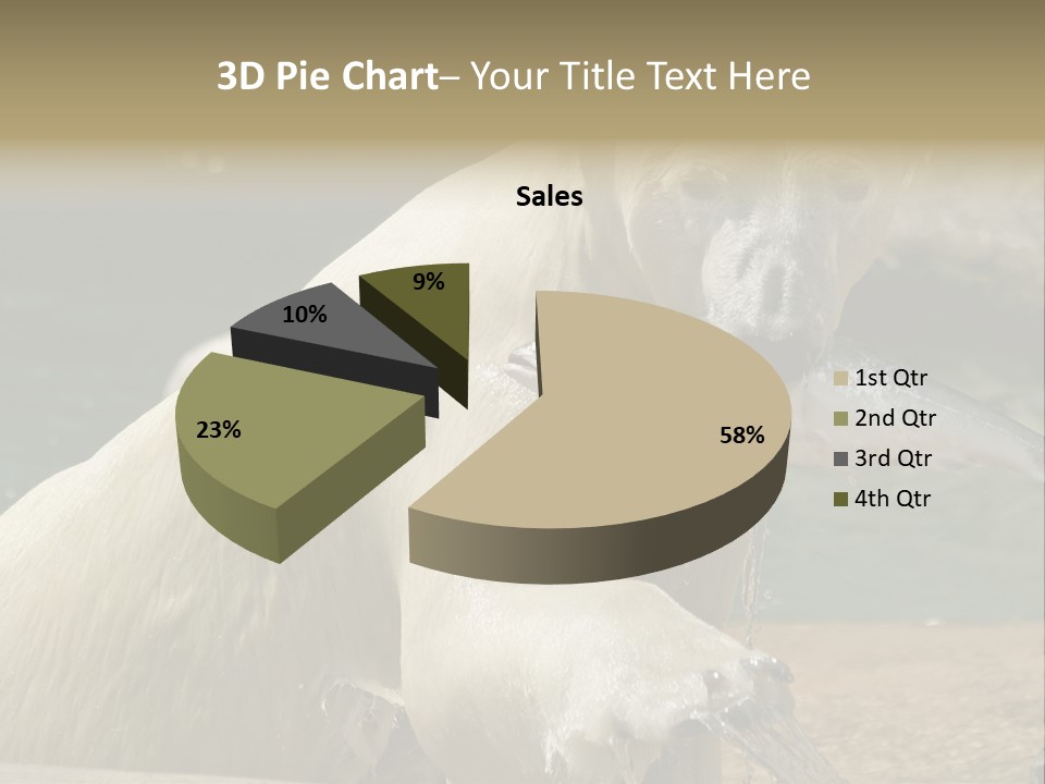 An Adult Female Polar Bear Emerging From The Water With A Fish PowerPoint Template