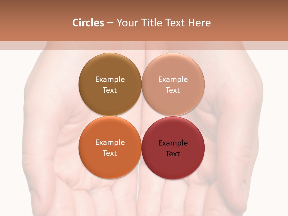 Close-Up, Pregnant Woman Is Stroking Belly On The White Background PowerPoint Template