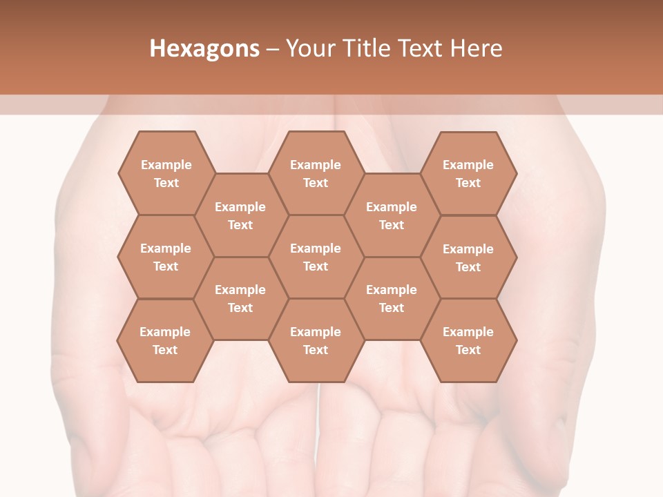 Close-Up, Pregnant Woman Is Stroking Belly On The White Background PowerPoint Template