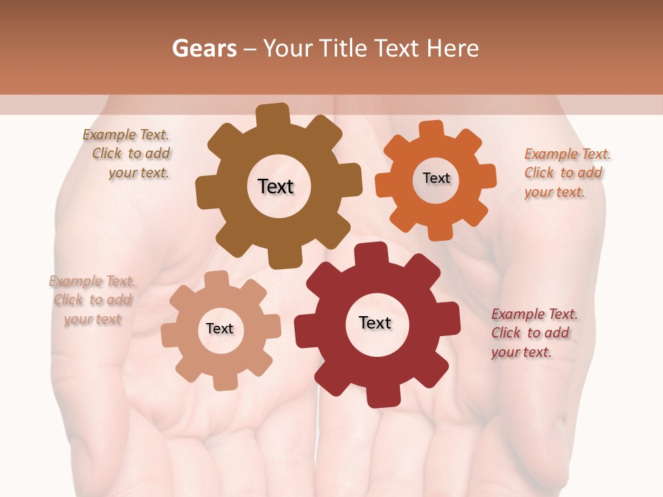 Close-Up, Pregnant Woman Is Stroking Belly On The White Background PowerPoint Template