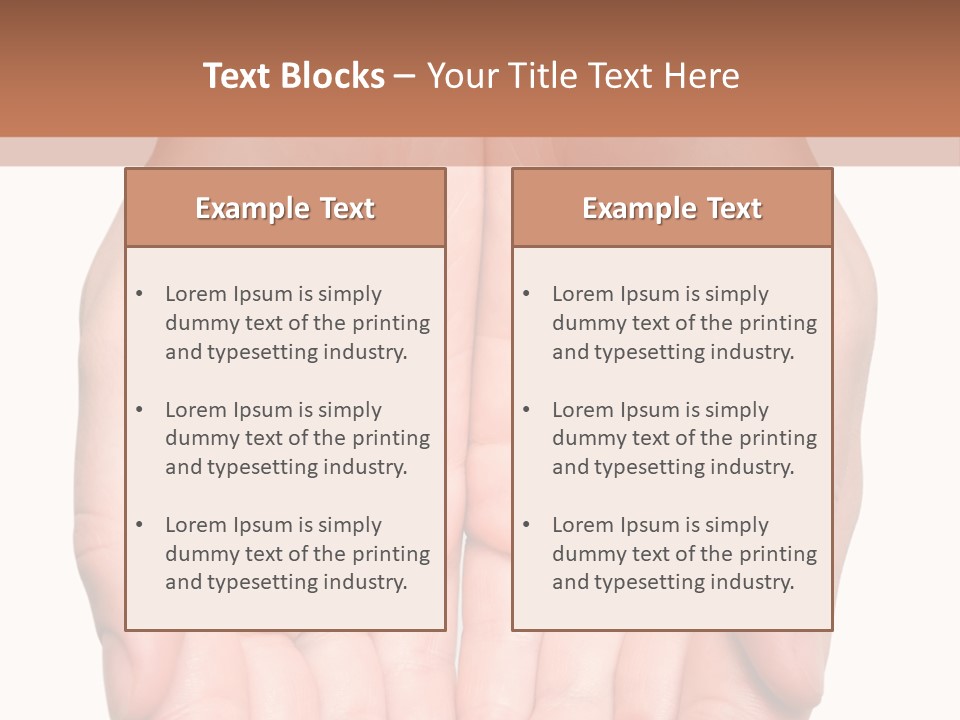 Close-Up, Pregnant Woman Is Stroking Belly On The White Background PowerPoint Template