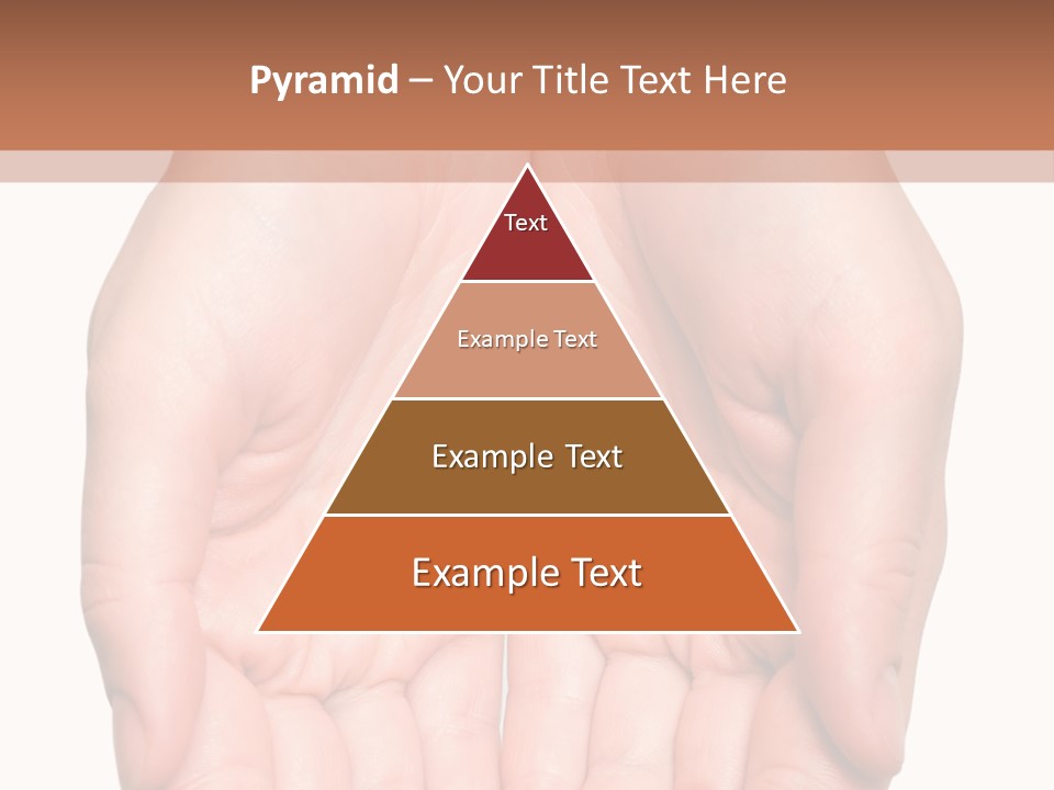 Close-Up, Pregnant Woman Is Stroking Belly On The White Background PowerPoint Template