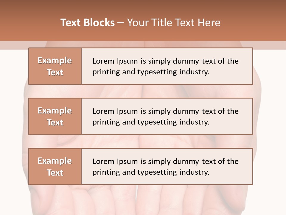 Close-Up, Pregnant Woman Is Stroking Belly On The White Background PowerPoint Template