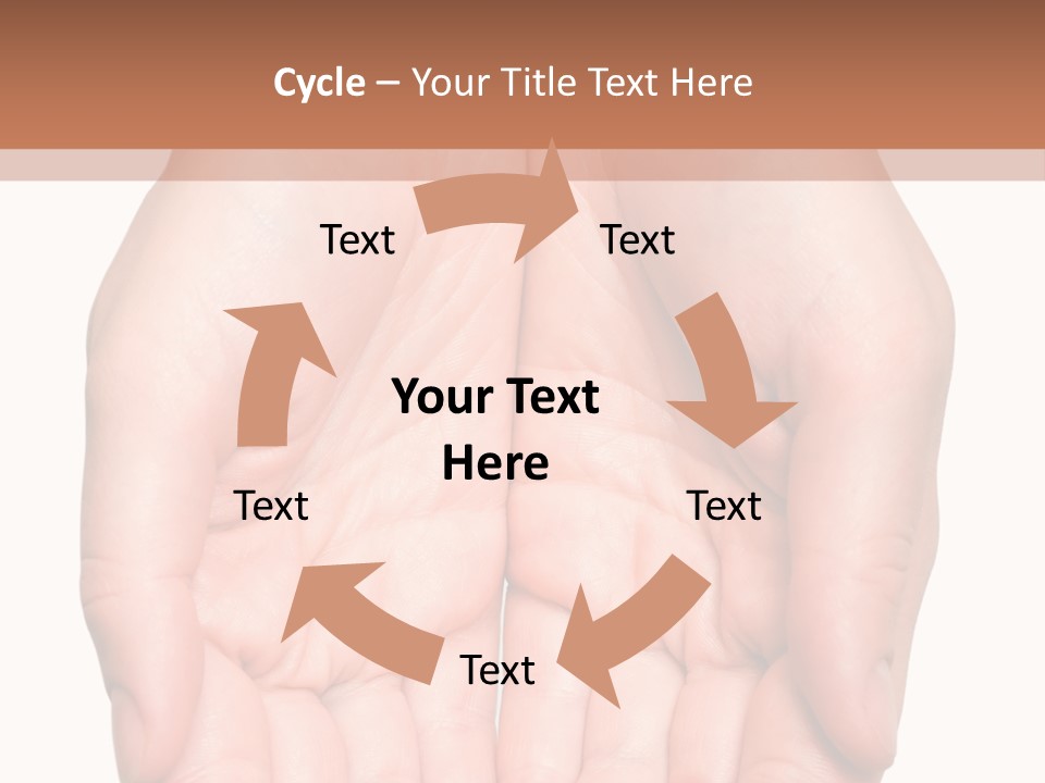 Close-Up, Pregnant Woman Is Stroking Belly On The White Background PowerPoint Template