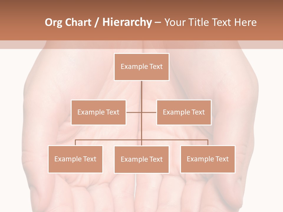 Close-Up, Pregnant Woman Is Stroking Belly On The White Background PowerPoint Template