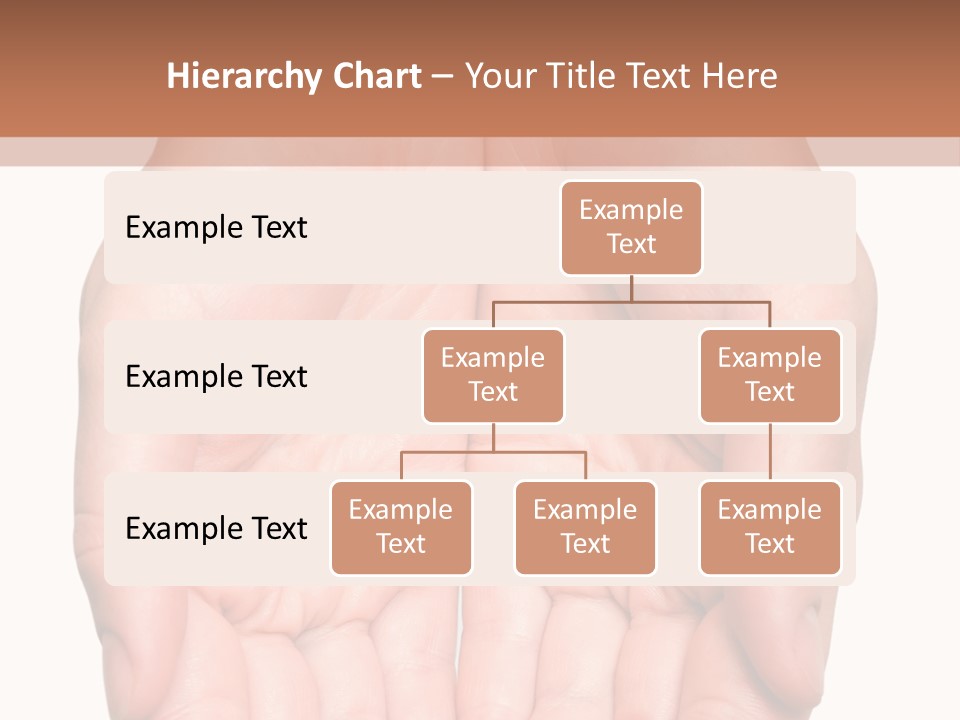 Close-Up, Pregnant Woman Is Stroking Belly On The White Background PowerPoint Template