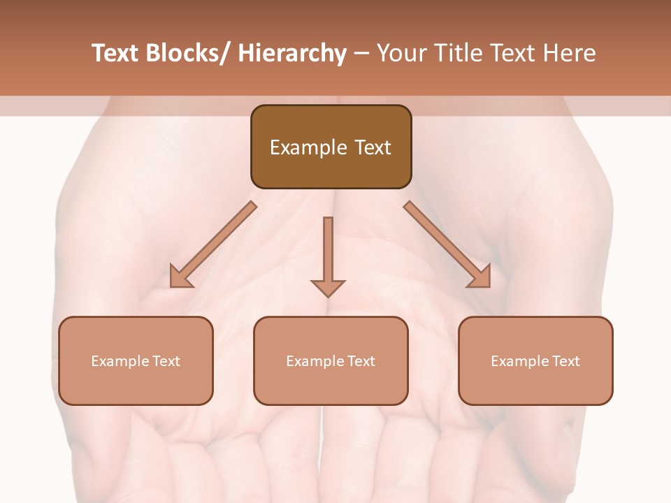 Close-Up, Pregnant Woman Is Stroking Belly On The White Background PowerPoint Template