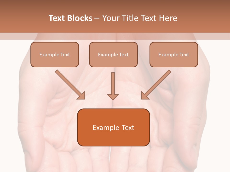 Close-Up, Pregnant Woman Is Stroking Belly On The White Background PowerPoint Template