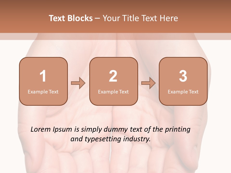 Close-Up, Pregnant Woman Is Stroking Belly On The White Background PowerPoint Template