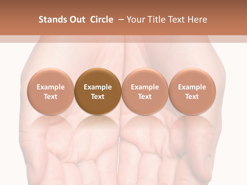 Close-Up, Pregnant Woman Is Stroking Belly On The White Background PowerPoint Template