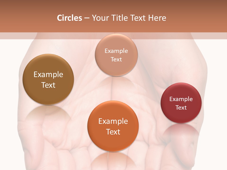 Close-Up, Pregnant Woman Is Stroking Belly On The White Background PowerPoint Template