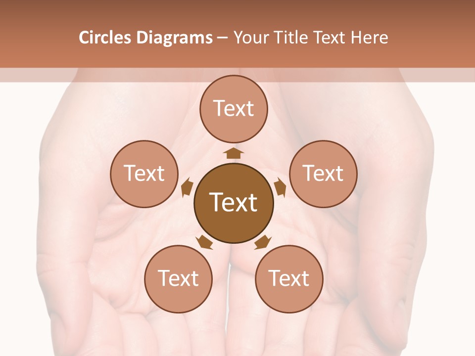 Close-Up, Pregnant Woman Is Stroking Belly On The White Background PowerPoint Template