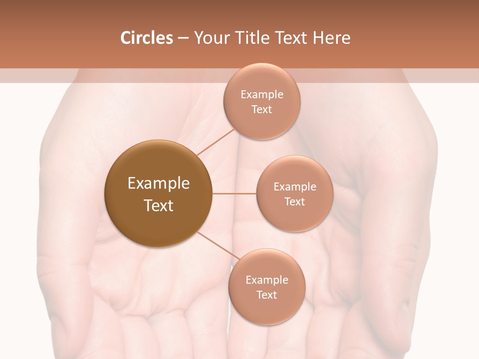 Close-Up, Pregnant Woman Is Stroking Belly On The White Background PowerPoint Template