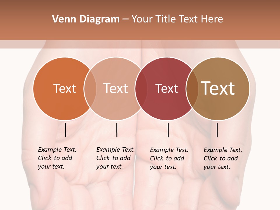 Close-Up, Pregnant Woman Is Stroking Belly On The White Background PowerPoint Template