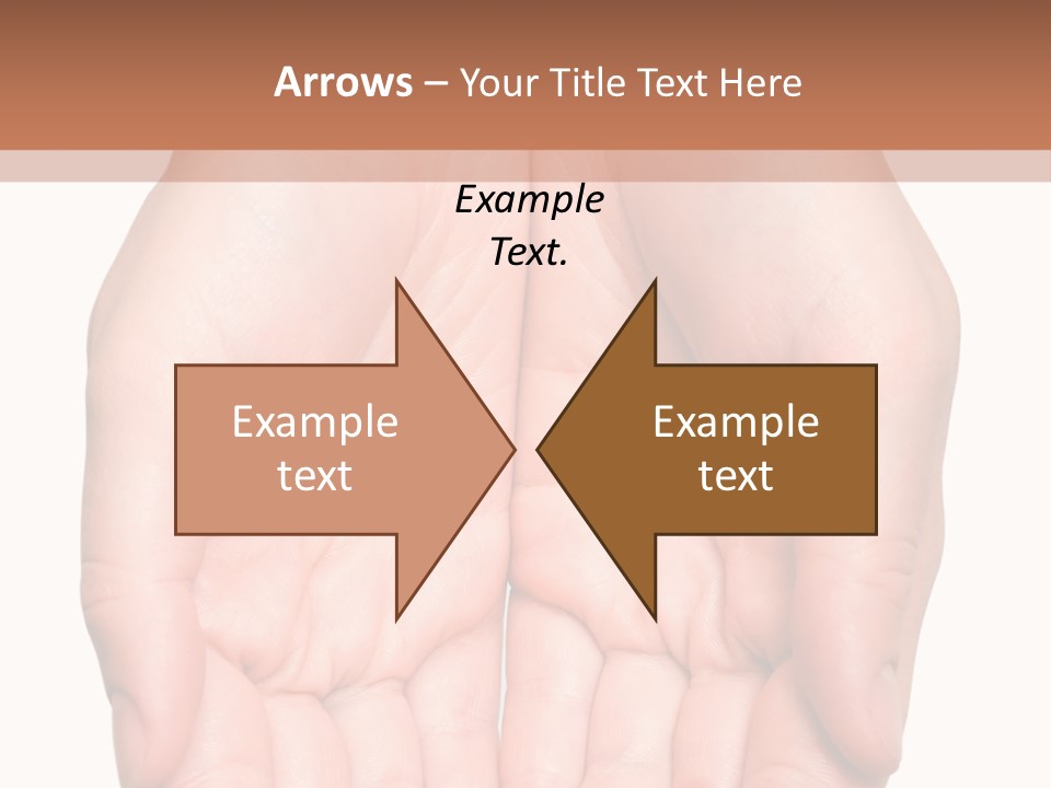 Close-Up, Pregnant Woman Is Stroking Belly On The White Background PowerPoint Template