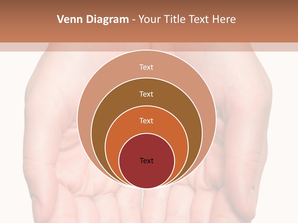 Close-Up, Pregnant Woman Is Stroking Belly On The White Background PowerPoint Template