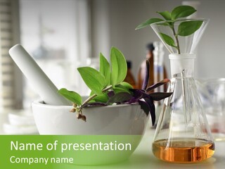 Mortar And Pestle With Herbs With A Glass Of Alternative Fuel PowerPoint Template