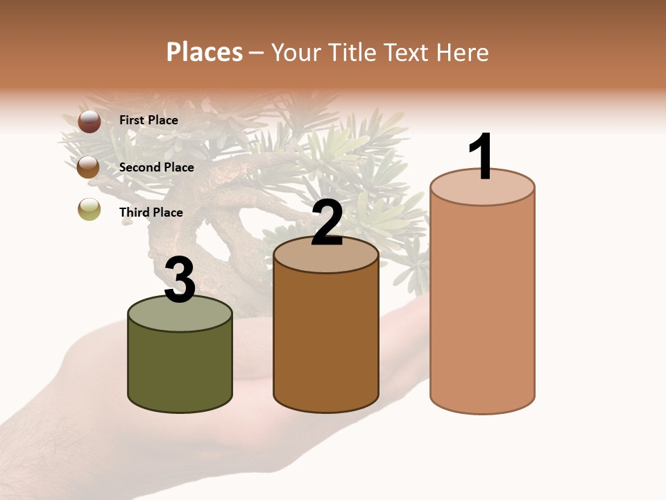 Palm With Tree PowerPoint Template