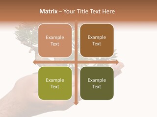 Palm With Tree PowerPoint Template