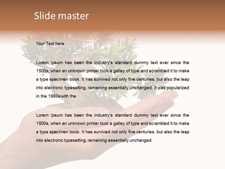 Palm With Tree PowerPoint Template