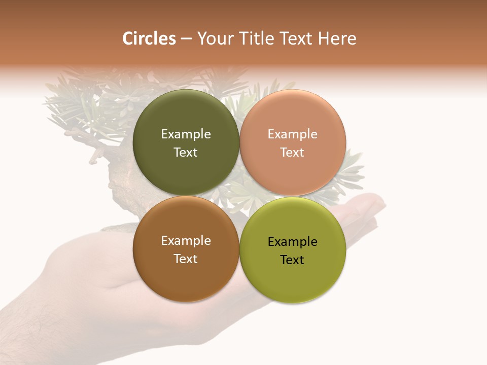 Palm With Tree PowerPoint Template