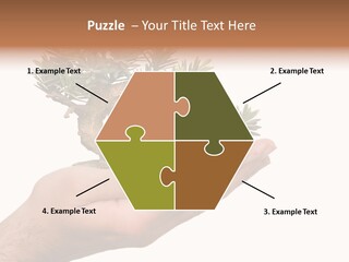 Palm With Tree PowerPoint Template