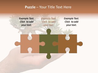 Palm With Tree PowerPoint Template