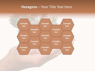 Palm With Tree PowerPoint Template