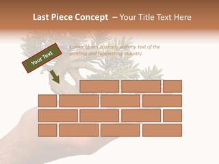 Palm With Tree PowerPoint Template