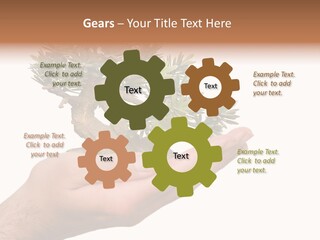 Palm With Tree PowerPoint Template