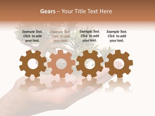 Palm With Tree PowerPoint Template