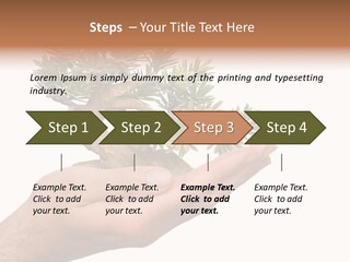 Palm With Tree PowerPoint Template